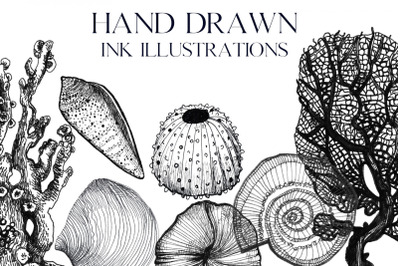 Ink hand-drawn ocean illustrations