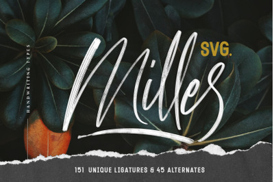Milles Handwriting - SVG type