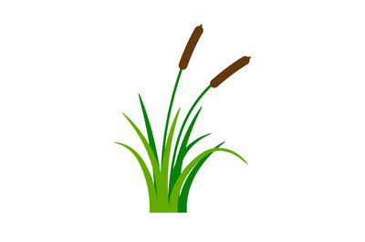 Bush bulrush with green grass