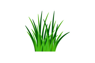 Dark green grass isolated on white