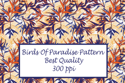 Birds Of Paradise Pattern