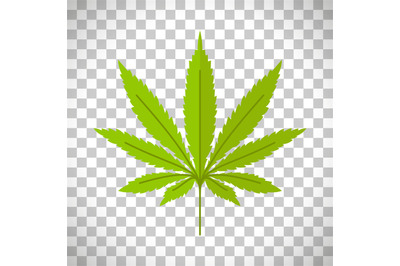 Marijuana leaf on transparent background