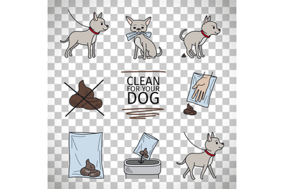 Clean up after your dog information