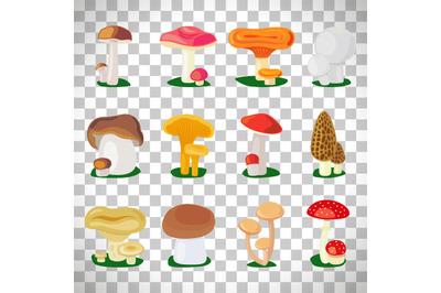 Edible mushrooms on transparent background