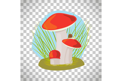 Forest mushroom with grass and snail