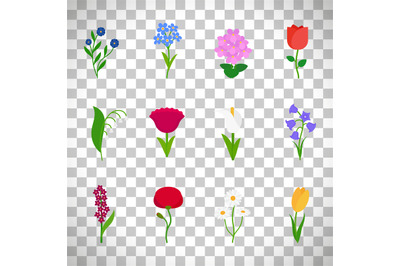 Spring flowers icons on transparent background