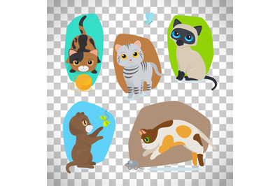 Cute cats set on transparent background