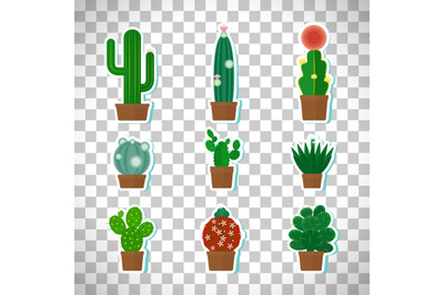 Cactus icons set on transparent background