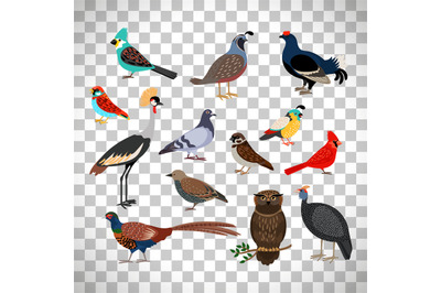 Cute birds set on transparent background