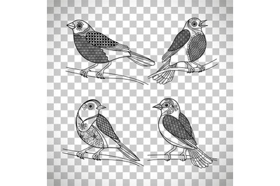 Birds with doodle decoration