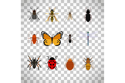 Insects set on transparent background