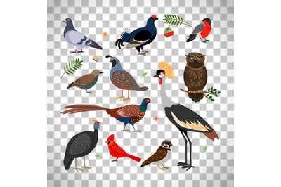 Birds icons on transparent background