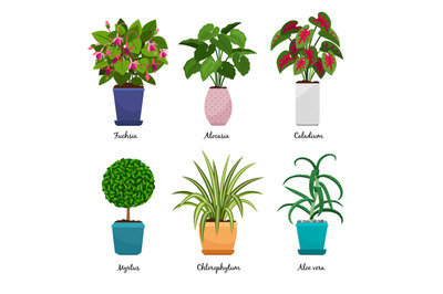 Cartoon houseplants in pots