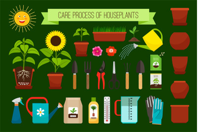 Houseplants care process icons