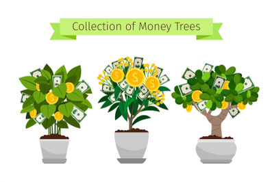 Money tree in flower pot set