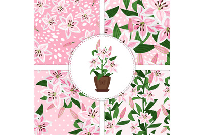 Pink lily icon and patterns collection