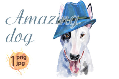 Watercolor portrait of bull terrier with blue hat