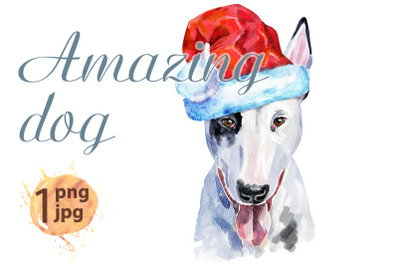 Watercolor portrait of bull terrier with Santa hat