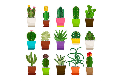 Cactus houseplants in flower pots set