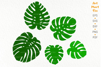 Set of five silhouettes of monstera leaves