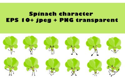 Spinach character EPS 10+ jpeg + PNG transparent. Healthy food. Vegeta
