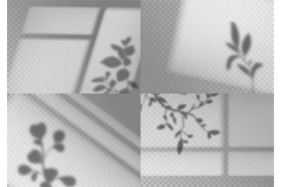 Overlay window shadows. Realistic leaves and window frames monochrome