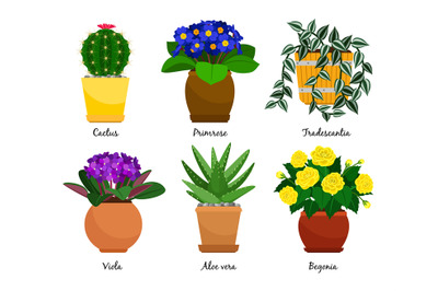 Houseplants and flowerpots