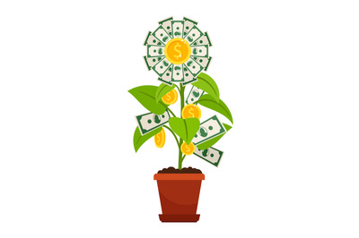 Flower money investment isolated on white background