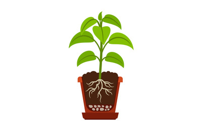 Houseplant with roots icon