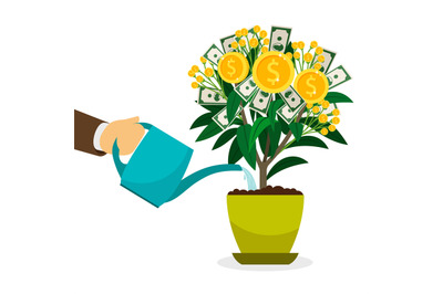 Hand watering money tree