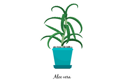 Aloe vera plant in pot icon