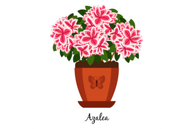 Azalea plant in pot icon