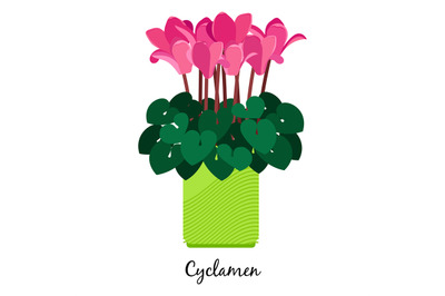 Cyclamen plant in pot icon