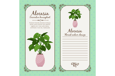 Vintage label with alocasia plant