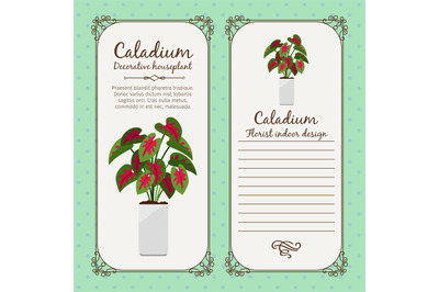 Vintage label with caladium plant