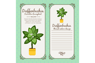 Vintage label with dieffenbachia plant