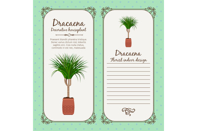 Vintage label with dracaena plant