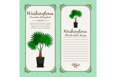 Vintage label with washingtonia plant