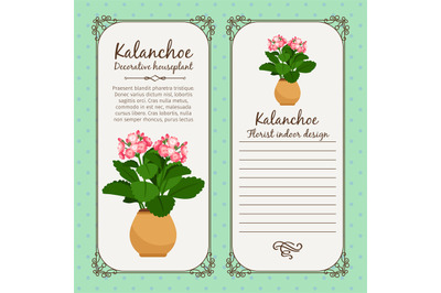 Vintage label with potted flower kalanchoe