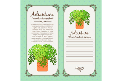 Vintage label with adiantum plant