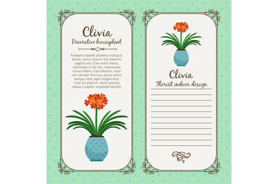 Vintage label with clivia plant