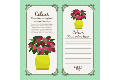 Vintage label with coleus plant