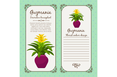 Vintage label with guzmania plant