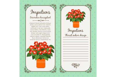 Vintage label with impatiens plant