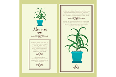 Greeting card with aloe vera plant