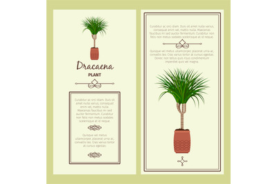 Greeting card with dracaena plant