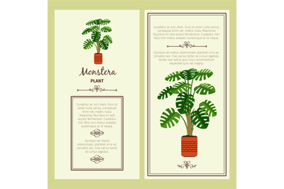 Greeting card with monstera plant