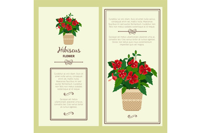 Hibiscus flower in pot banners