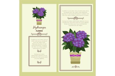 Hydrangea flower in pot banners