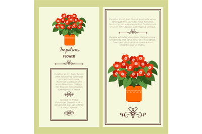 Impatiens flower in pot banners